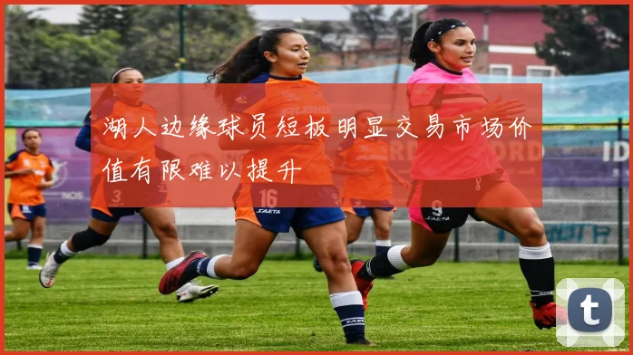 湖人边缘球员短板明显交易市场价值有限难以提升